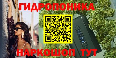 прущая мука Будённовск
