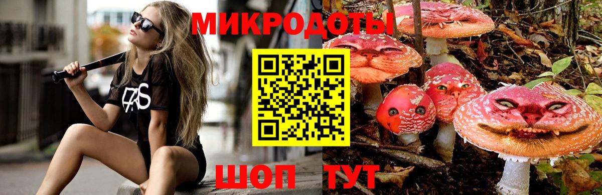 Галлюциногенные грибы Psilocybe Тында